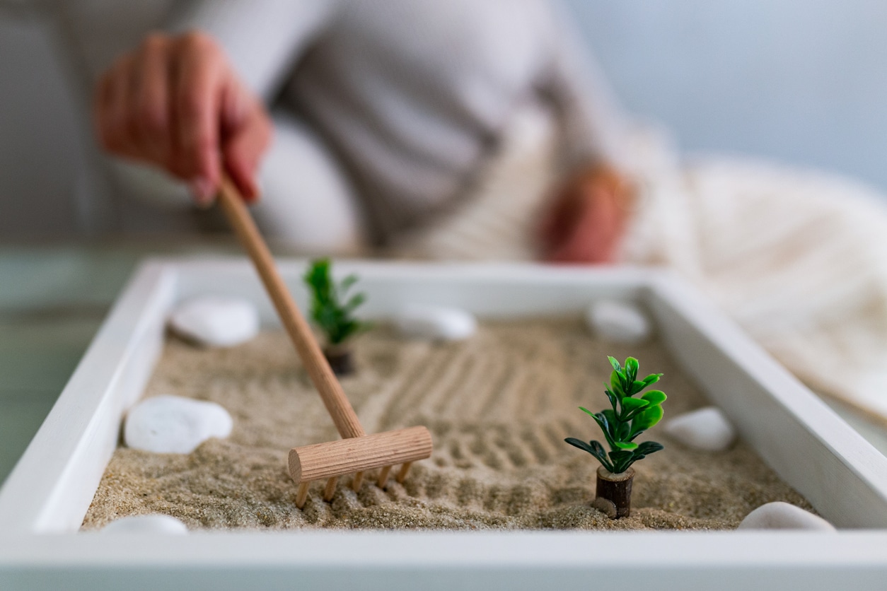 Comment faire un jardin zen miniature : bienfaits, réalisation