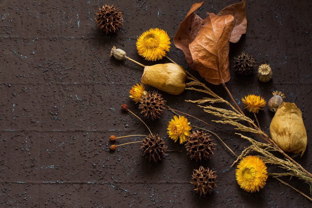  Comment  faire  s cher  des fleurs pour la d co int rieure